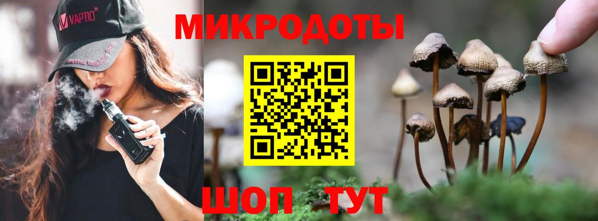 Псилоцибиновые грибы Psilocybe  Псилоцибиновые грибы Psilocybine cubensis  Калуга  Вход с VPN 